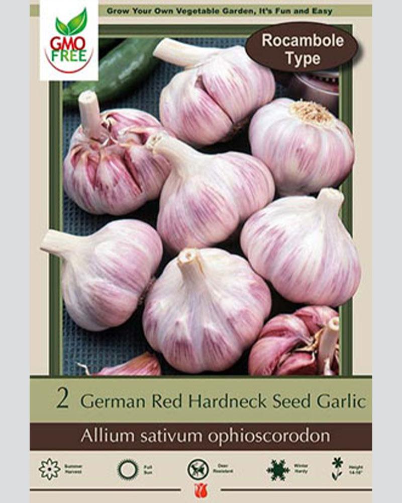 Garlic German Red 2 bulbs/pkg