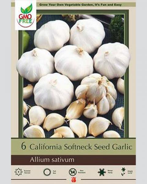 Garlic Pkg Of 6 California Softneck Gmo Free