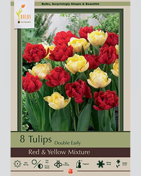 Tulip Double Early Red & Yellow Mixture 8 Pack