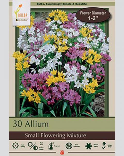 Allium Small Flowering Mix 30 bulbs/pkg