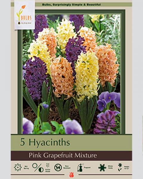 Hyacinth Grapefruit Mixture