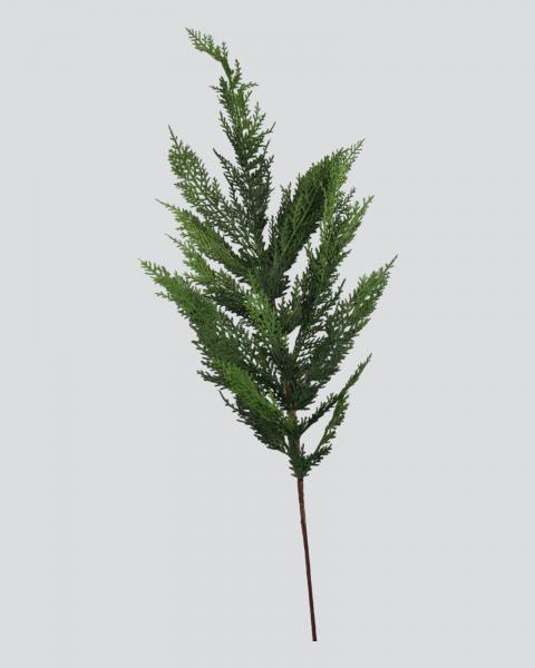 Cedar Spray 40" Green