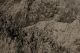 Bulk Screened Topsoil Blend by the Yard