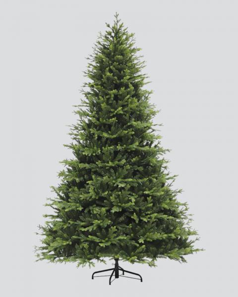 10' Northern Fir With 2000 Dual Color LED Lights