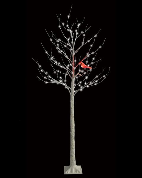 Birch Tree With Cardinal 6' With White LED Lights