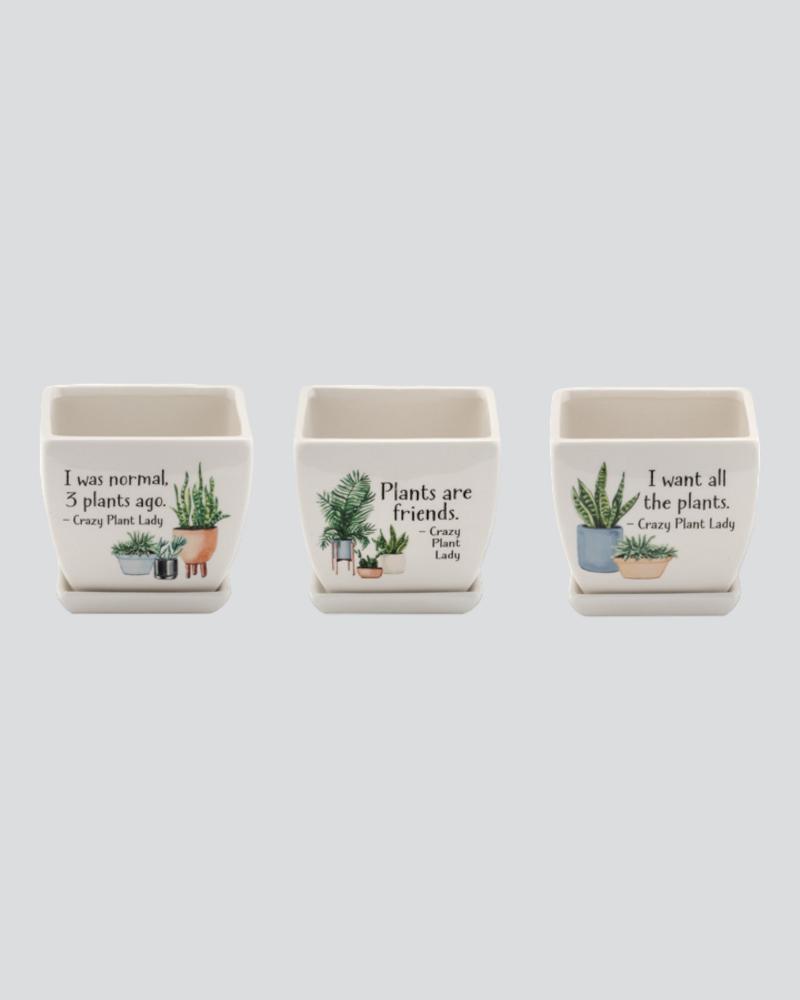 Witty Square Planter 4" Assorted