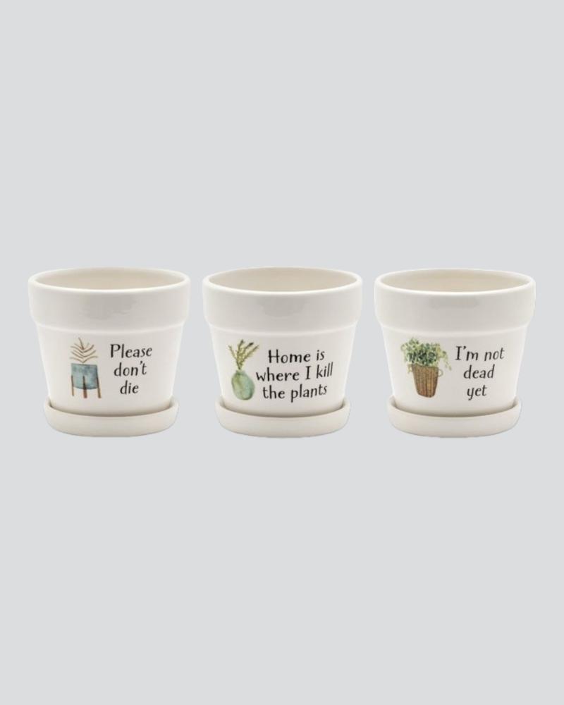 Witty Pot With Saucer 4.75" Assorted