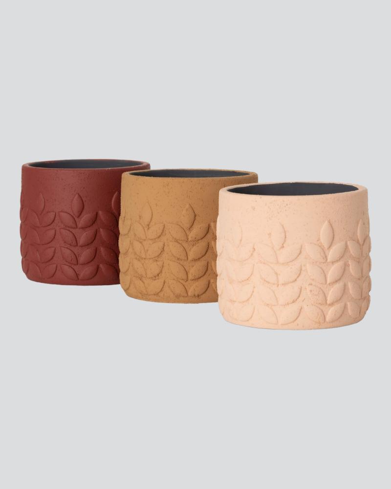 Modern Leaf Pot 5.75" Assorted