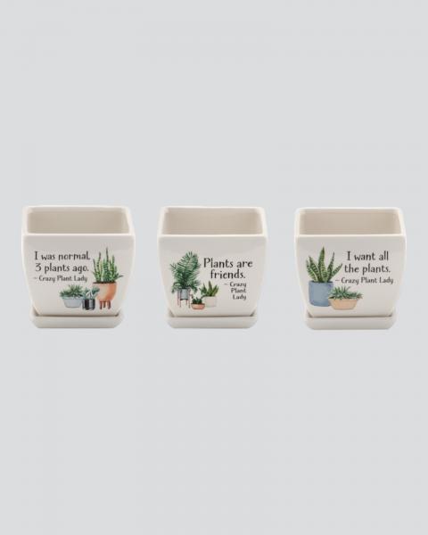 Witty Square Planter 4" Assorted