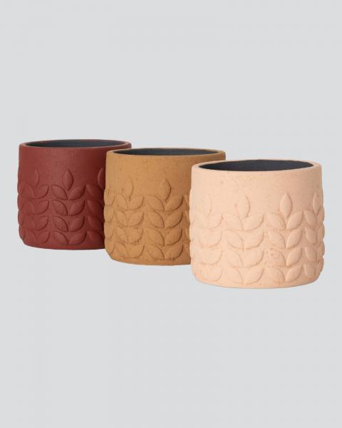 Modern Leaf Pot 5.75" Assorted