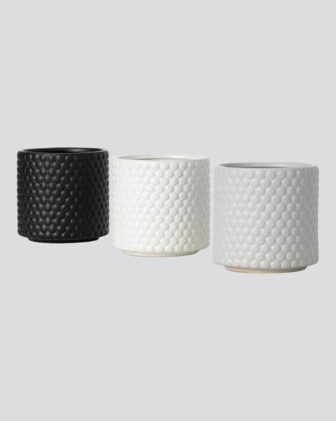 Dot Textured Pot 6" Asst.