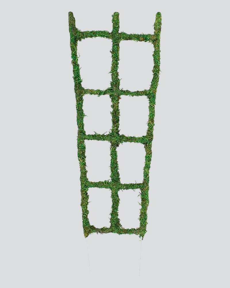 Syndicate 12" Moss Trellis