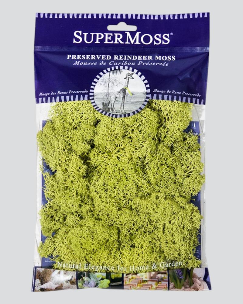 Reindeer Moss 2oz. Chartreuse