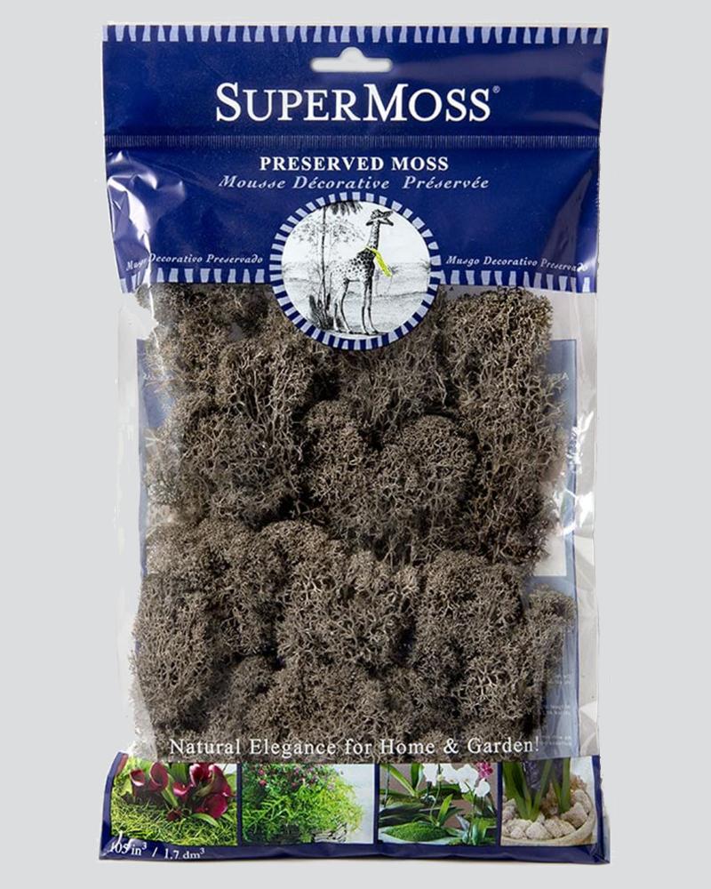 Reindeer Moss 2oz. Cashmere