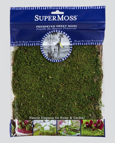 Sheet Moss Preserved 4oz. Fresh Green
