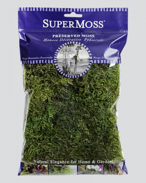 Forest Moss Preserved 8 Oz.