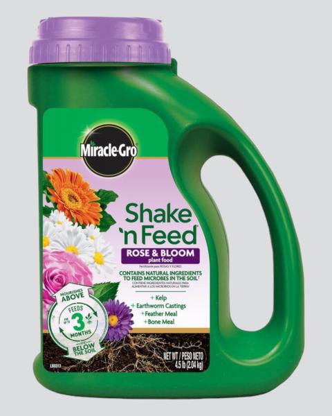 Miracle Gro Shake 'n Feed Rose & Bloom 4.5lb