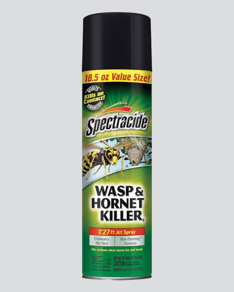 Spectracide Wasp & Hornet Killer 18.5oz Spray