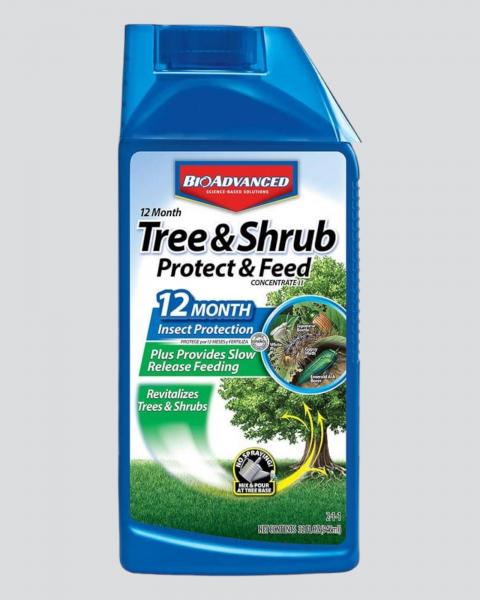 Bioadvanced Tree & Shrub Protect & Feed 32oz Concentrate