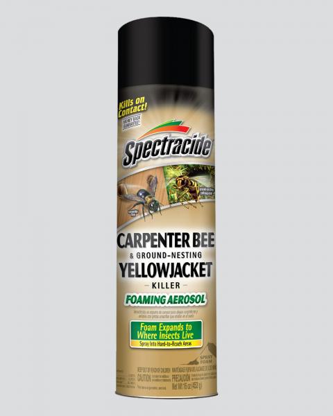 Spectracide Carpenter Bee & Yellowjacket Killer 16oz Foaming Spray