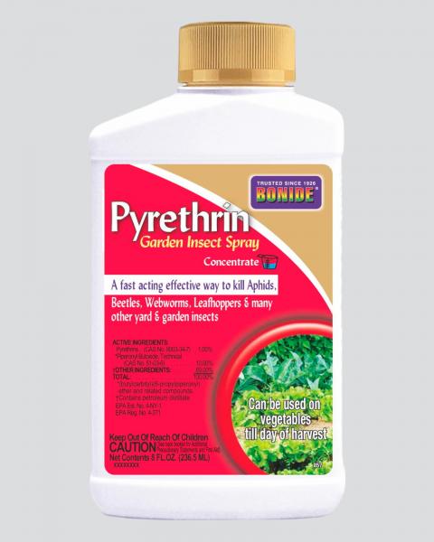 Bonide Pyrethrin Garden Insect Spray 8oz Concentrate