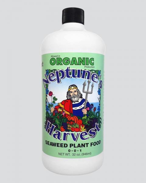 Neptune's Harvest Seaweed Plant Food 32oz