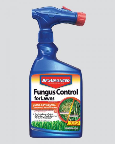 Bioadvanced Lawn Fungus 32oz Ready To Spray