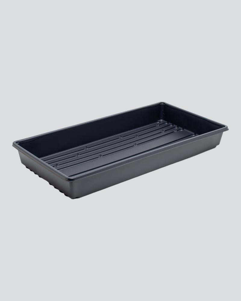 Standard Tray 22x11"