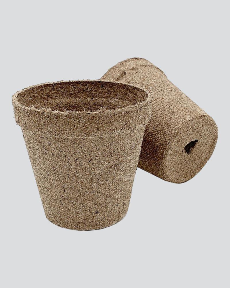 Jiffy Peat Pot 3" 10 Pack