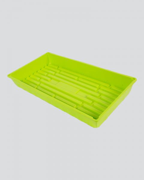 Sunpack Tray Lime 10x20"