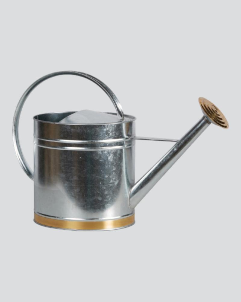 Terra Verde Galvanized Watering Can 2 Gallon Oval