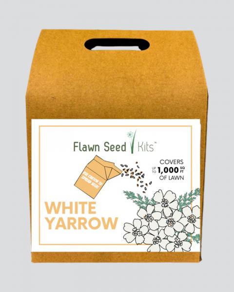Flawn White Yarrow Seed 1000 Sq Ft