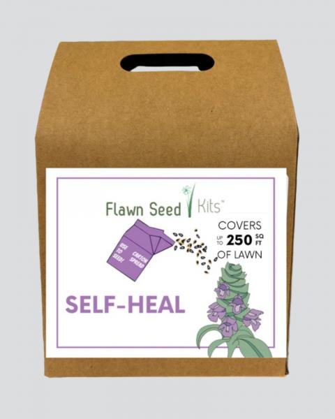 Flawn Self Heal Seed 250 Sq Ft