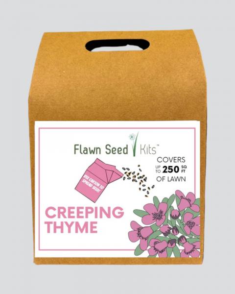 Flawn Creeping Thyme Seed 250 Sq Ft
