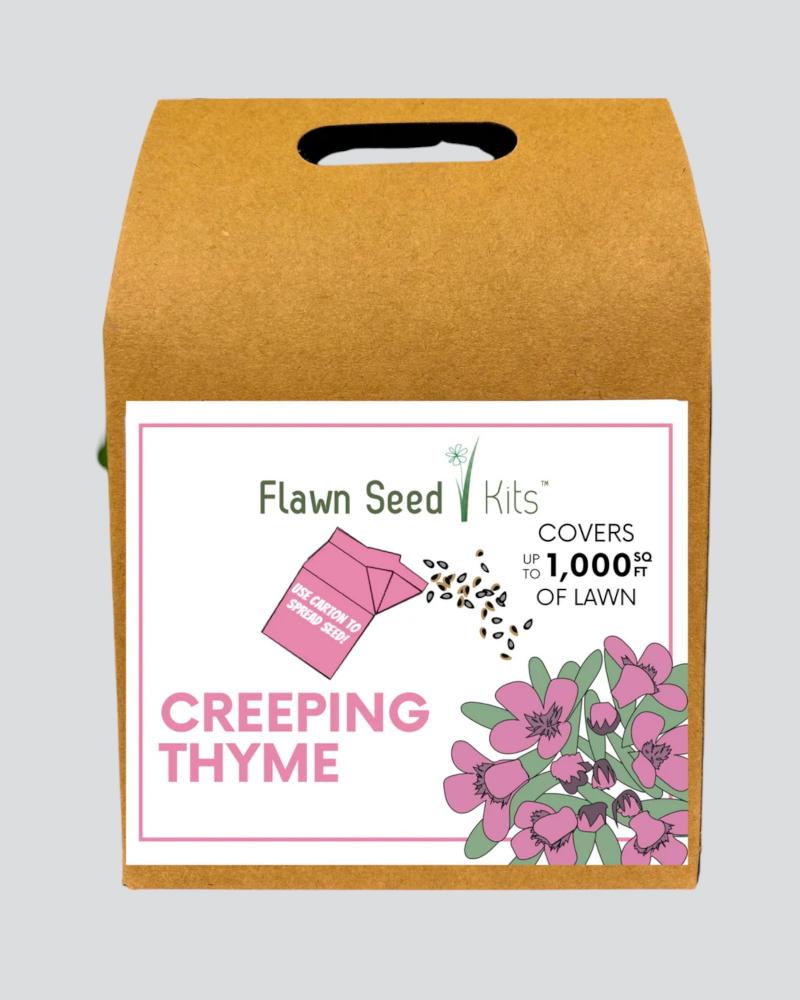 Flawn Creeping Thyme Seed 1000 Sq Ft