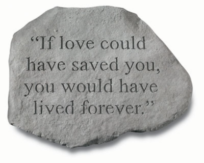 If Love Could Have Saved You