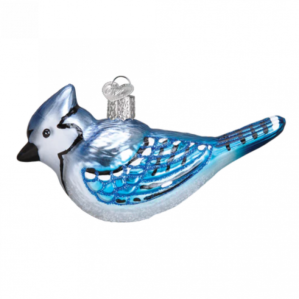 Old World Bright Blue Jay