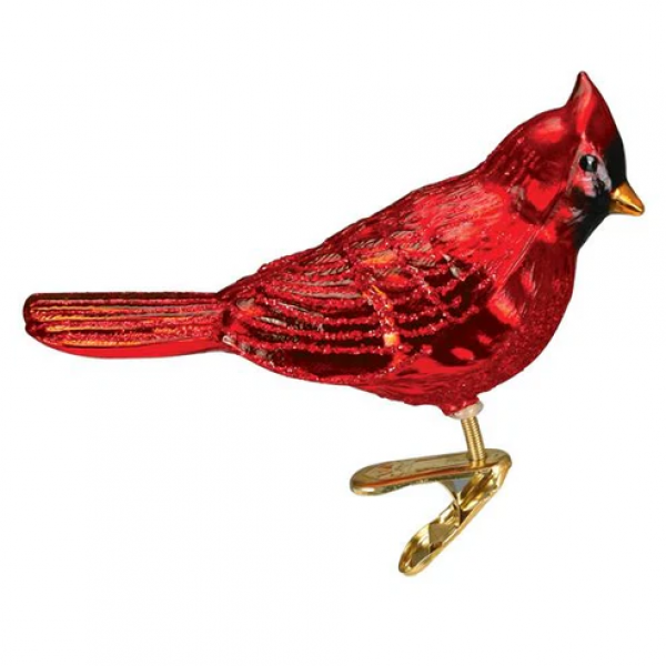 Old World Shiny Red N Cardinal