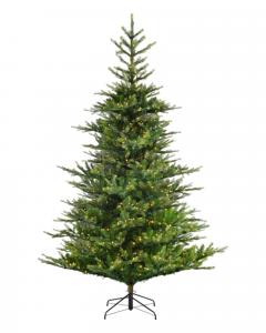 6.5' Grandis Fir tree with 2500 warm white micro LED lights with 8-function