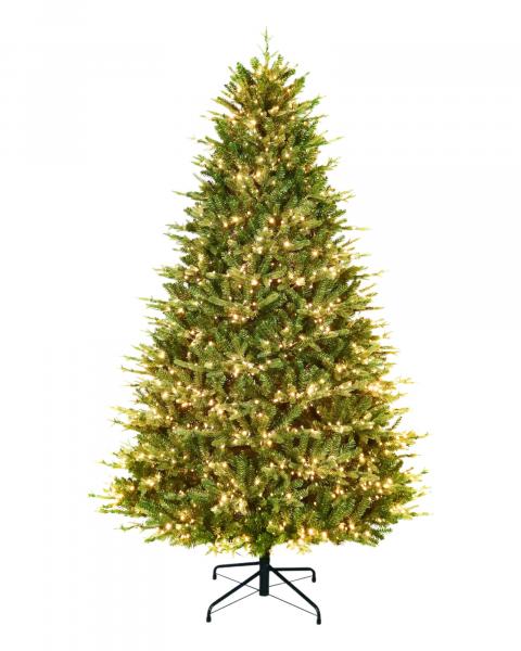 7.5' Royal Northern Fir With 2000 Color Changing LED Lights