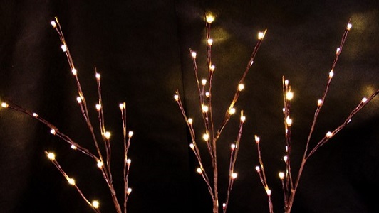 Lighted Branches