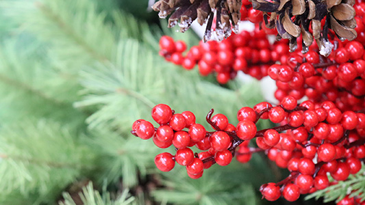 Christmas Floral