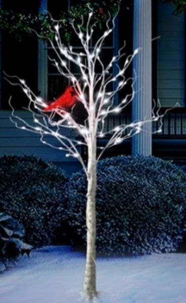 Birch Tree With Cardinal 6' With White LED Lights