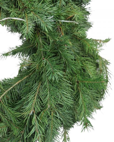 Garland Douglas Fir 25 Feet