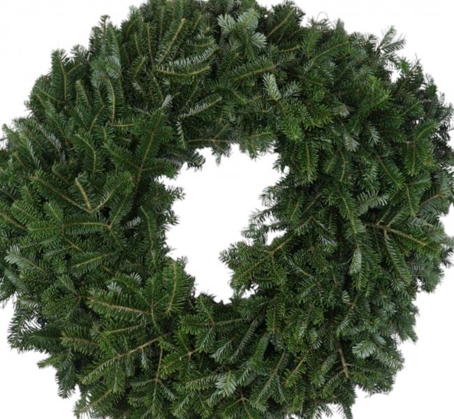 Wreath Fraser Fir 36"