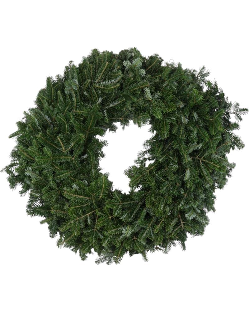 Wreath Fraser Fir 16"