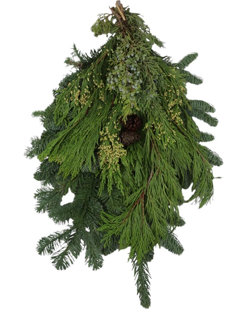 Swag Mixed Evergreen W/cones 22"