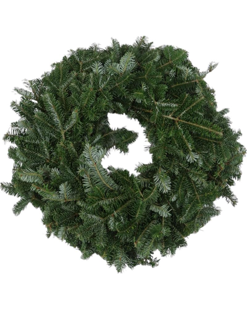 Wreath Fraser Fir 10"