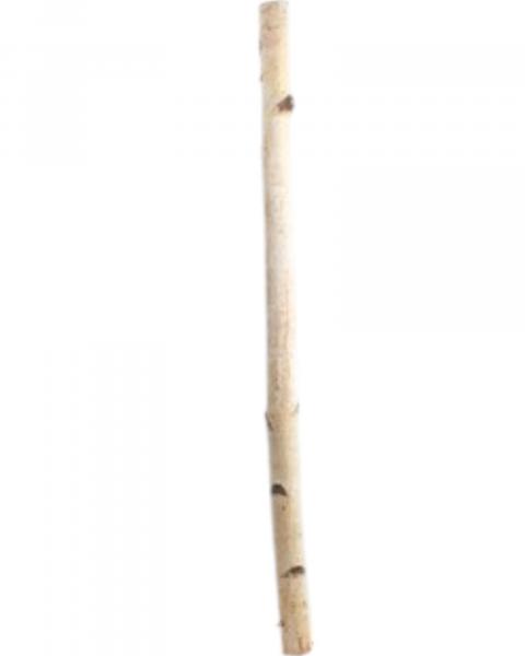 Birch Pole 8'