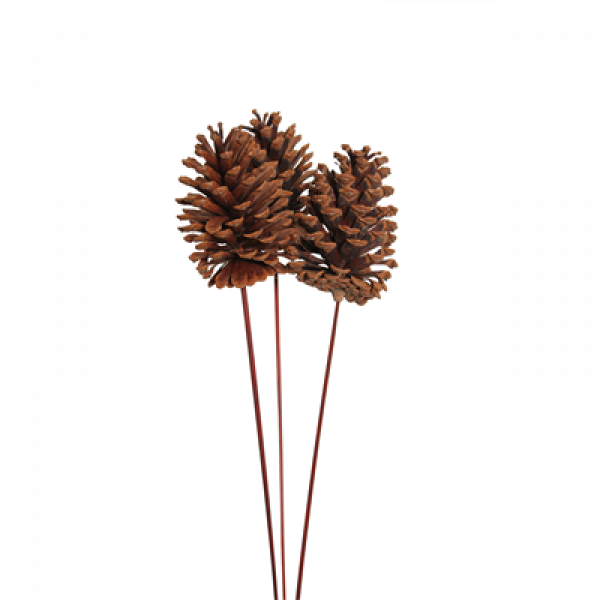 Pine Cones Lg Pkg Of 3 Natural